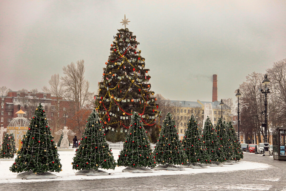 Ёлка в Кронштадте - skijumper Иванов Ёлка в Кронштадте - skijumper Иванов