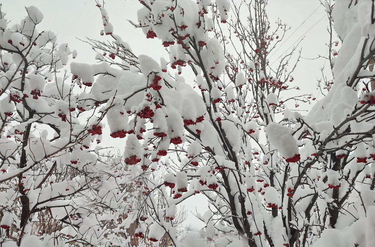 Из окна - Валентина Богатко 