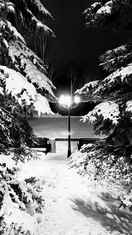 «И чаще хочется гулять не за столом, а в старом, тихом парке…» - Арина Невская