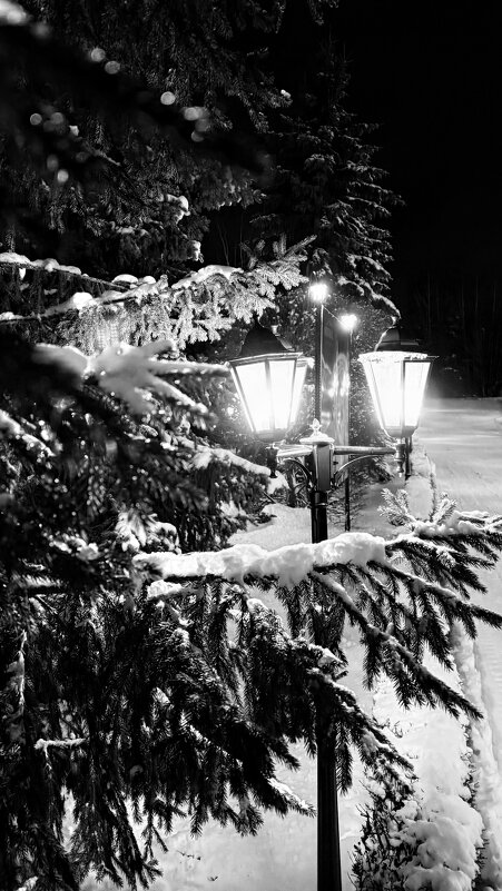 «И чаще хочется гулять не за столом, а в старом, тихом парке…» - Арина Невская