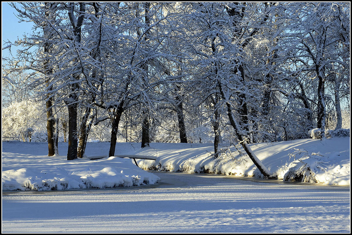 Мороз и солнце - Aleksandr Gal