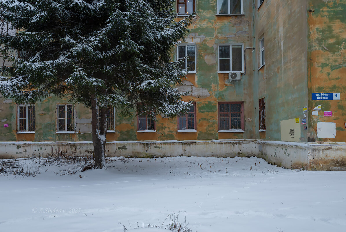 Старая ель в углу старого дома - Александр Синдерёв