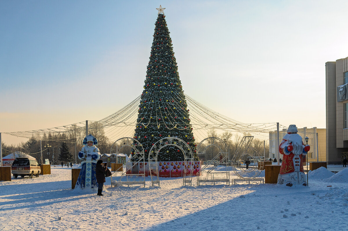 С наступающим Новым годом! - Виктор Иванович Чернюк