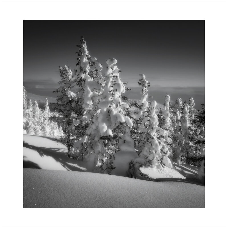 * - Александр Иванов