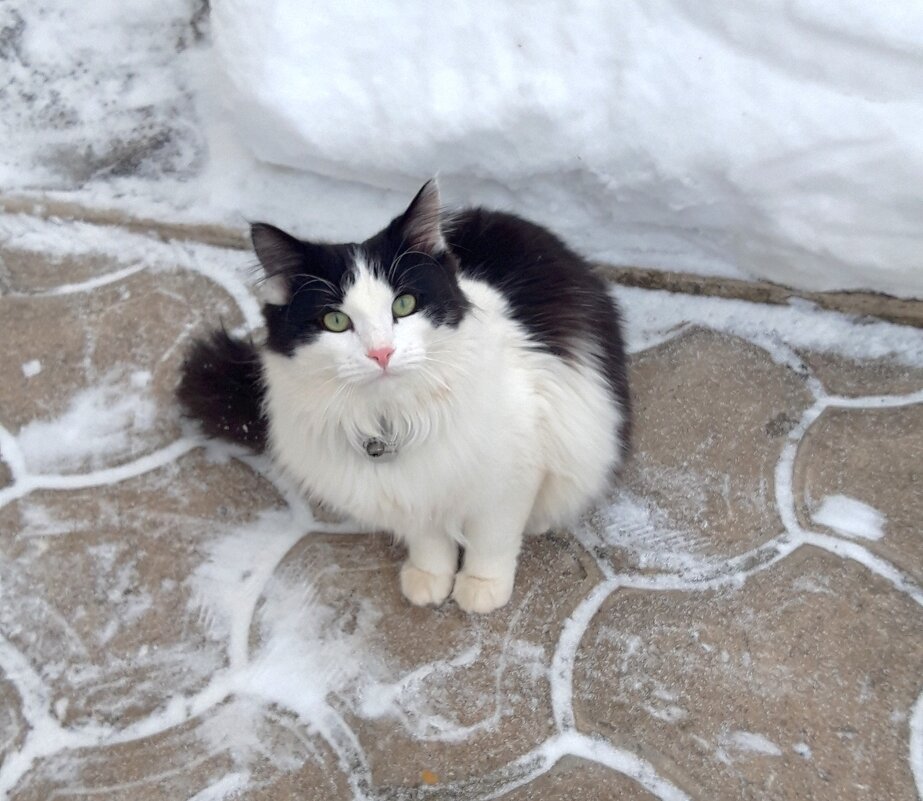 Зима - Венера Чуйкова