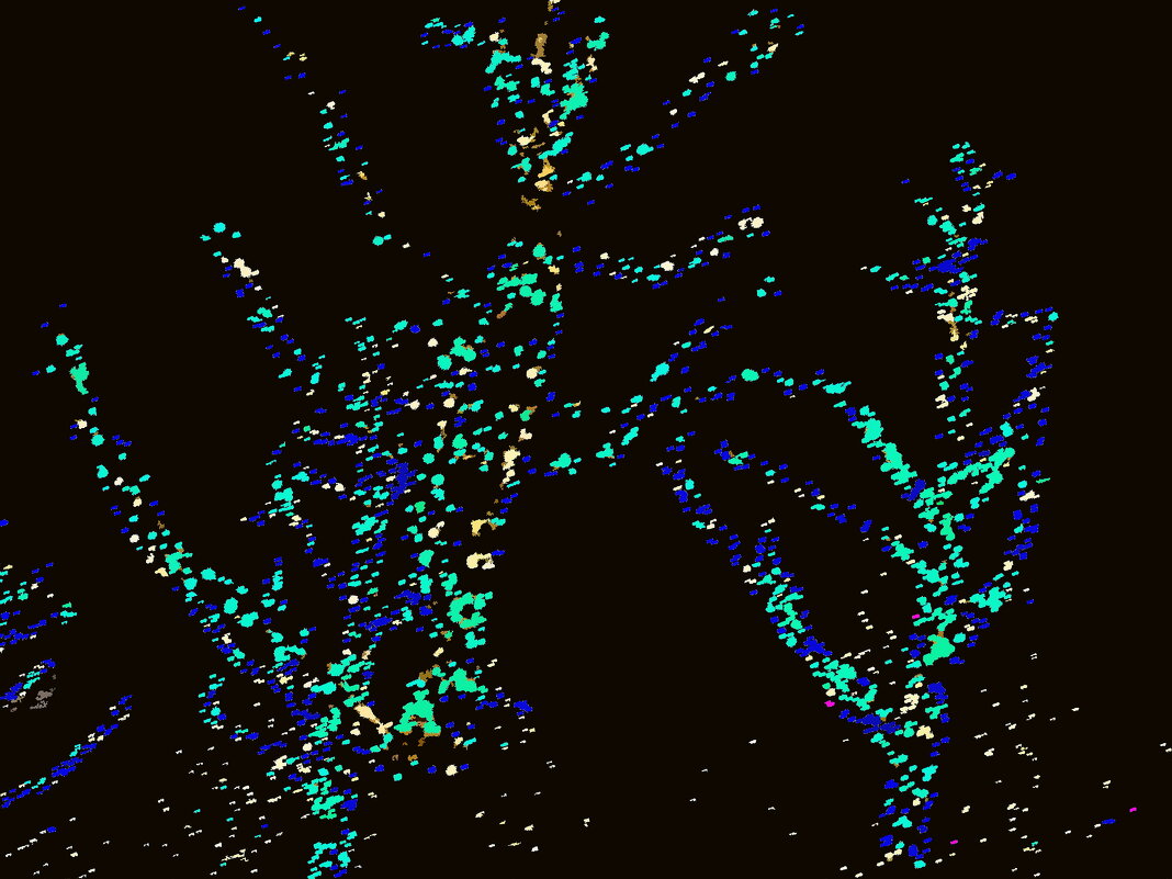 Рождество в Штутгарте - 3 - Алексей Кузнецов