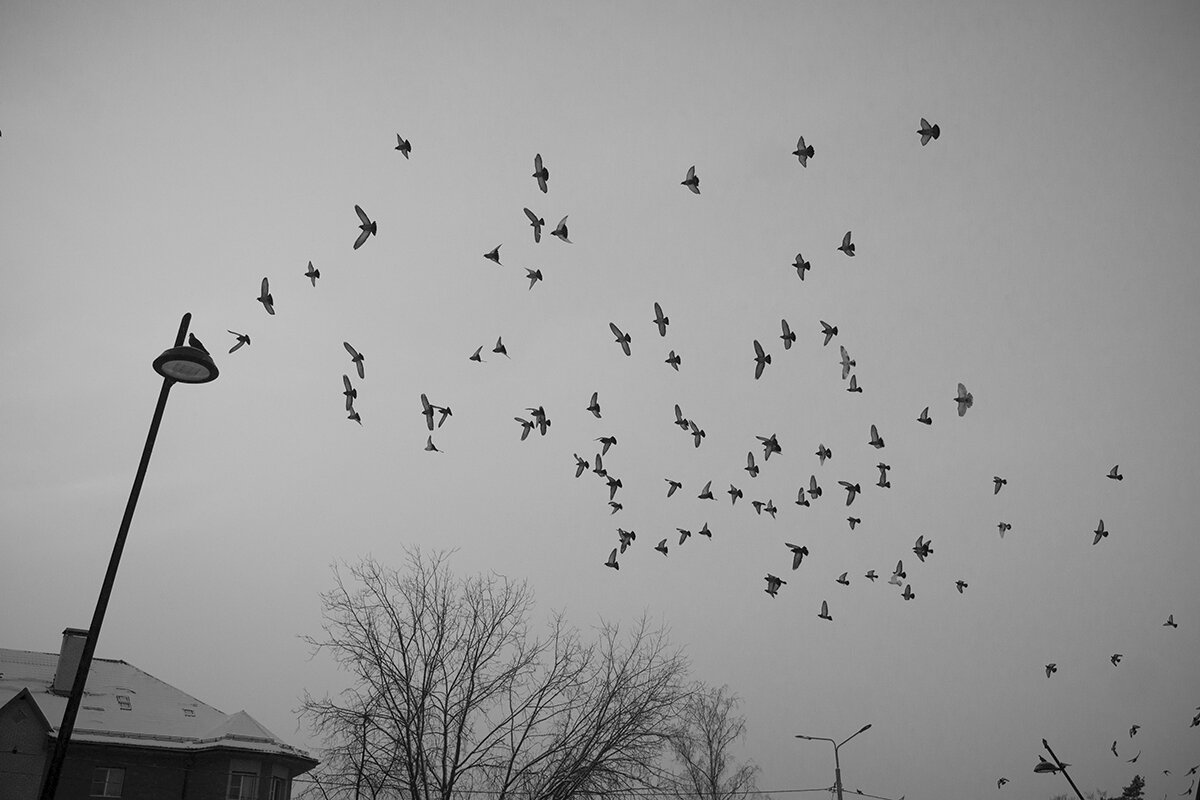 Флаг над городом... - Владимир Носов Флаг над городом... - Владимир Носов