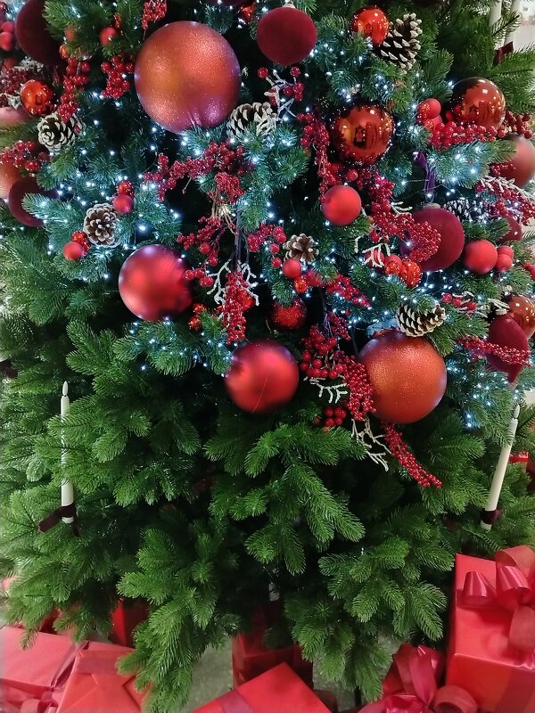 Красавица - Надежда 