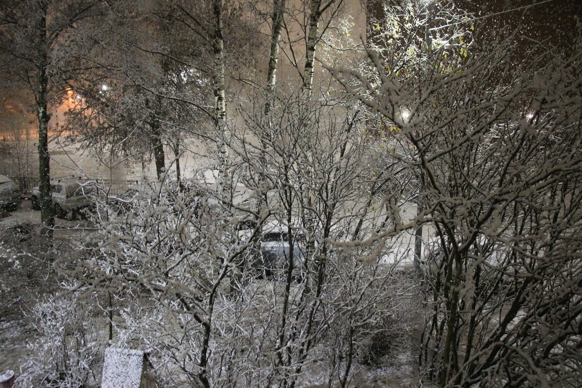 Осень 2025. Ноябрь - Наталья Герасимова