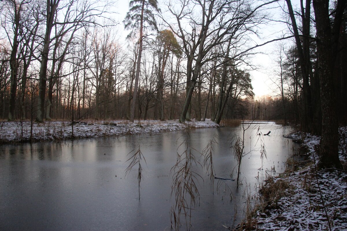 Зима 2025. Декабрь - Наталья Герасимова