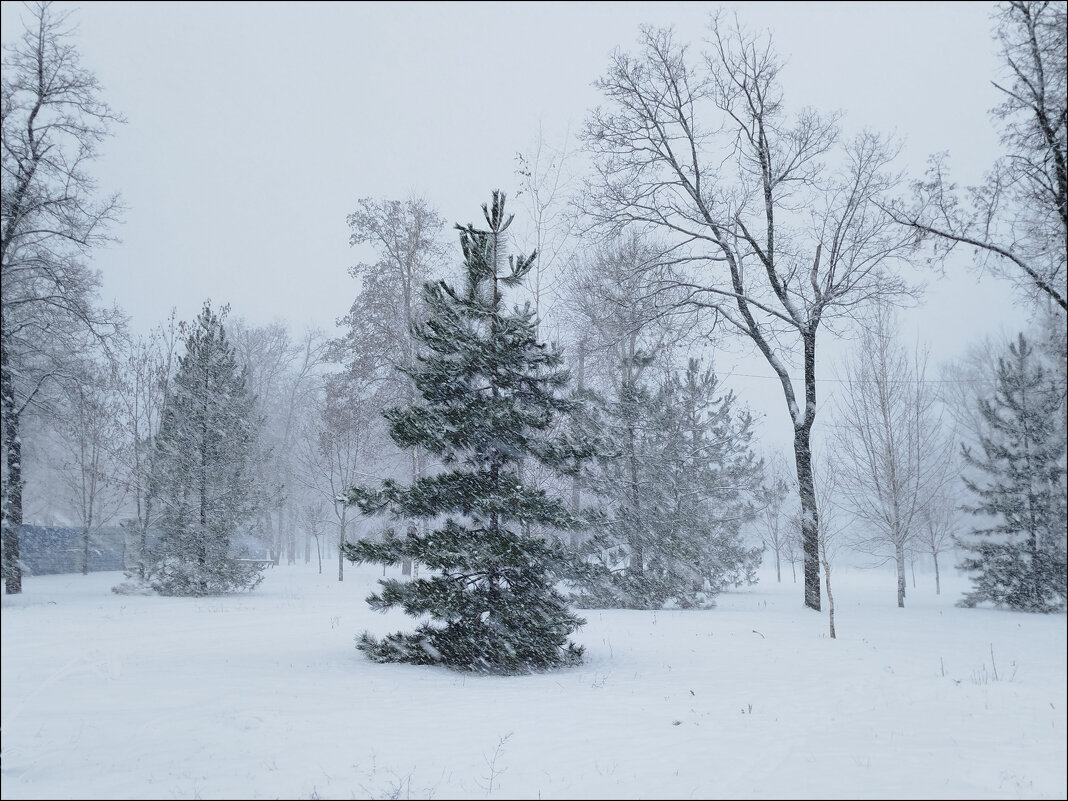 А снег идет...! - Надежда 