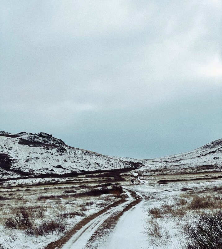 Эх,дороги - Георгиевич 