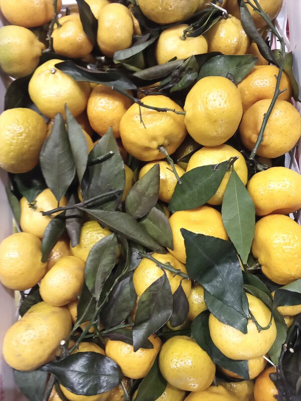 Лимоны а Пятерочке - Фотогруппа Весна