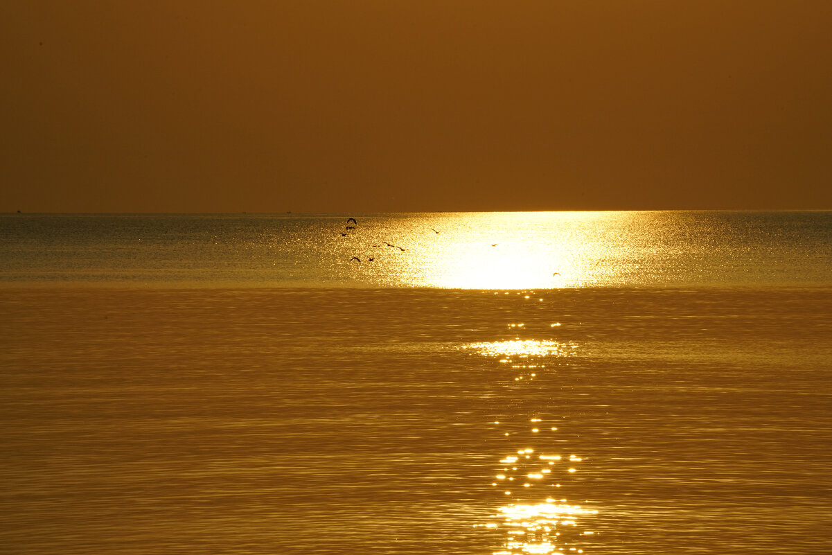 Рассвет в золоте - Иван Литвинов