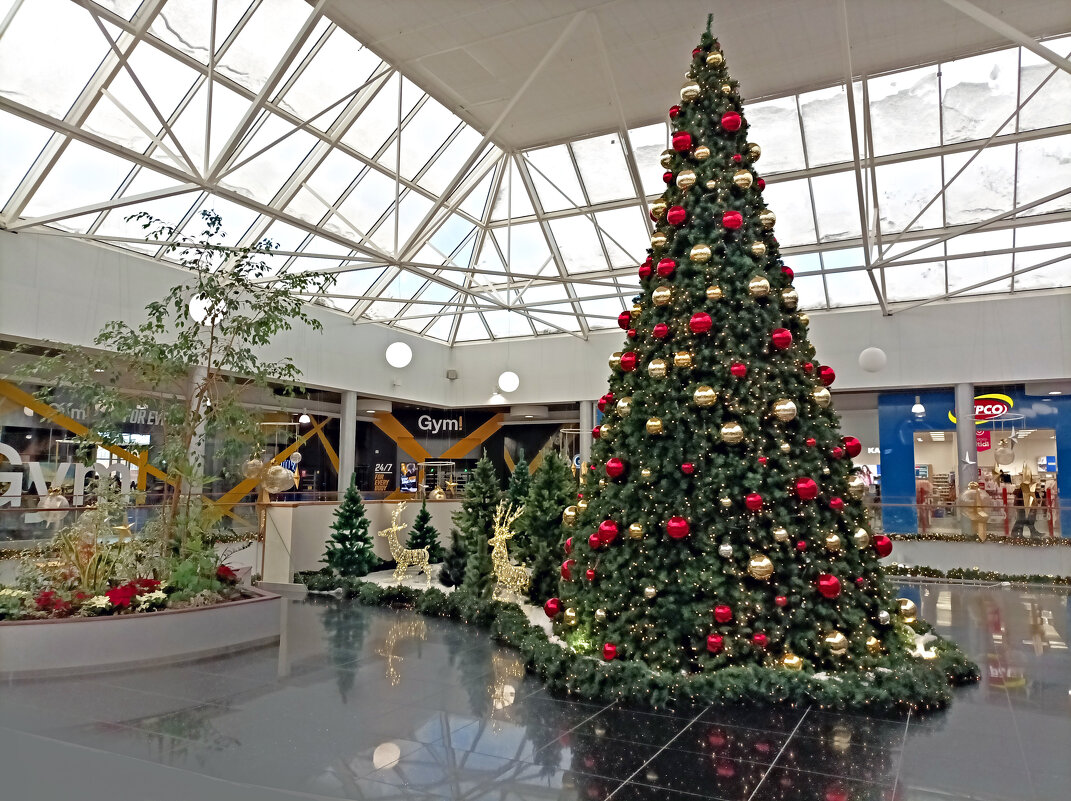 В торговом центре Астри - Veera V