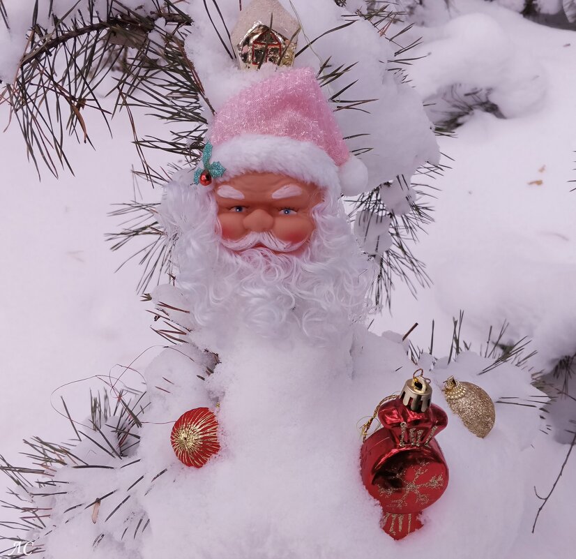 Решил немного отдохнуть - Любовь Сахарова