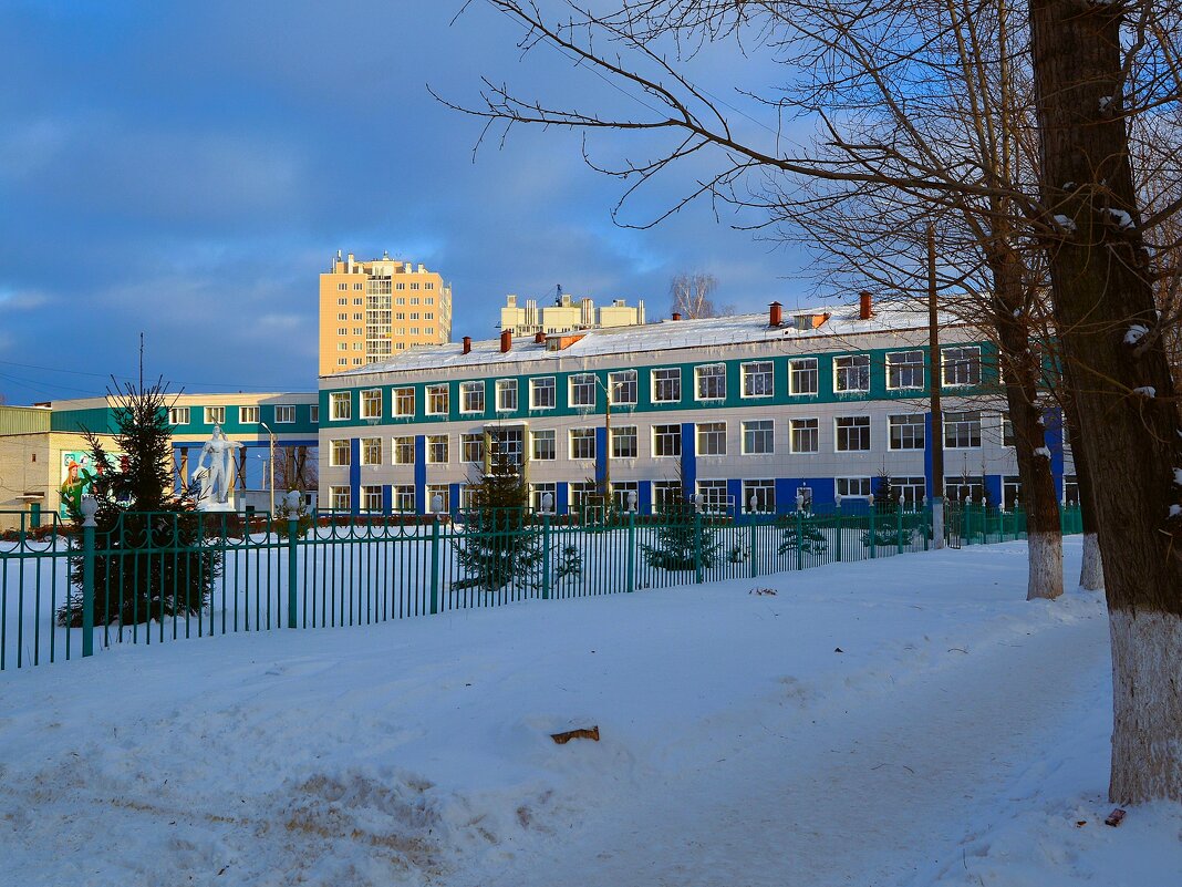 Новочебоксарск. Химико-Механический техникум. - Пётр Чернега