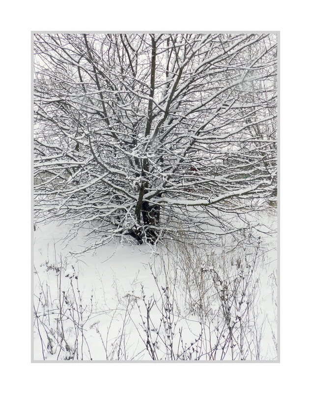 чёрно-белая зима - Лера 