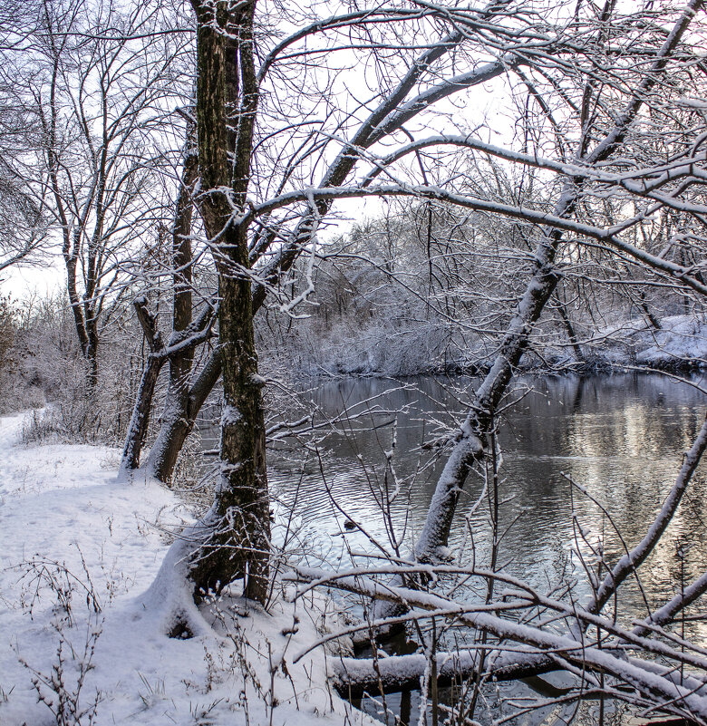 Утро. - Александр. AVG100 ---