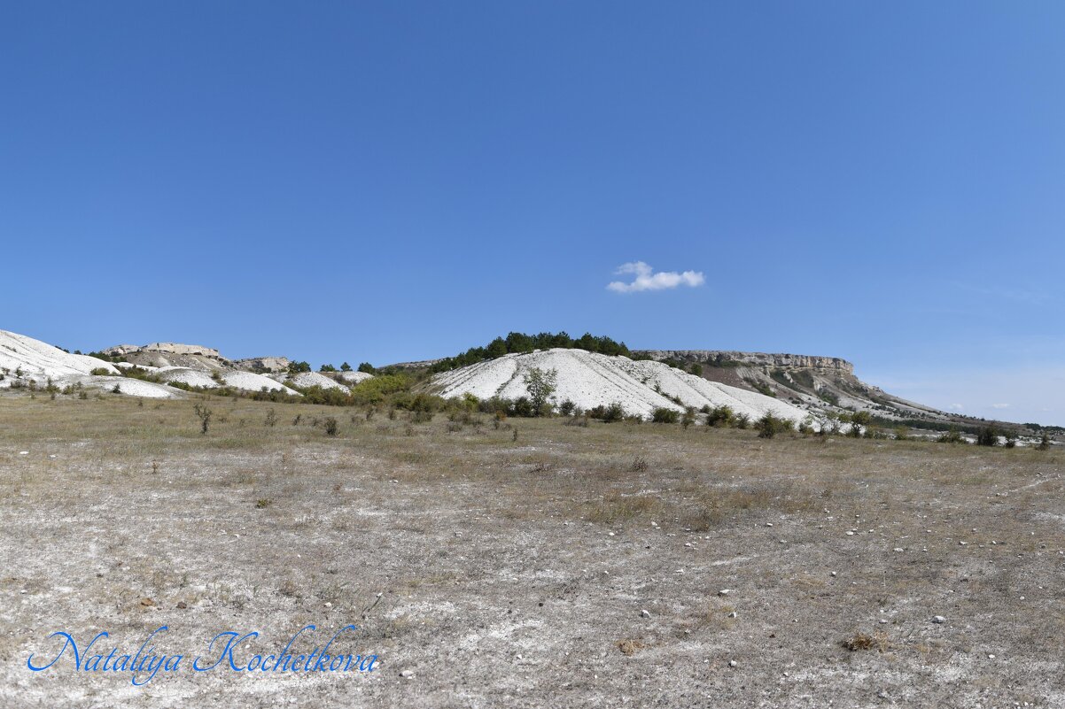 Природа Крыма - Amazing Cosmea