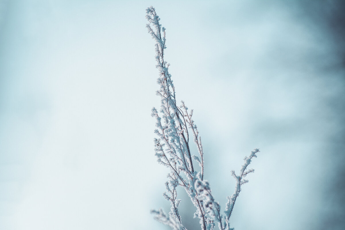 *** - Виктор Иванович Чернюк