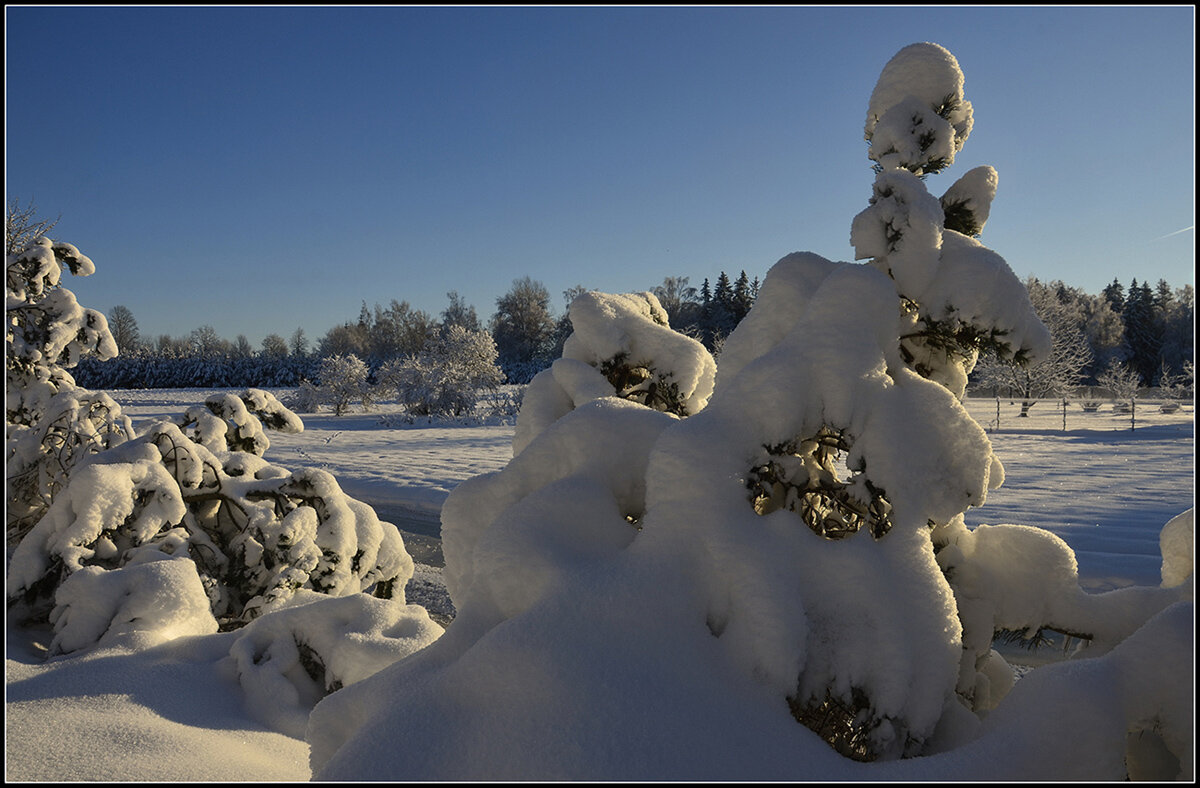 Ностальгия - Aleksandr Gal Ностальгия - Aleksandr Gal