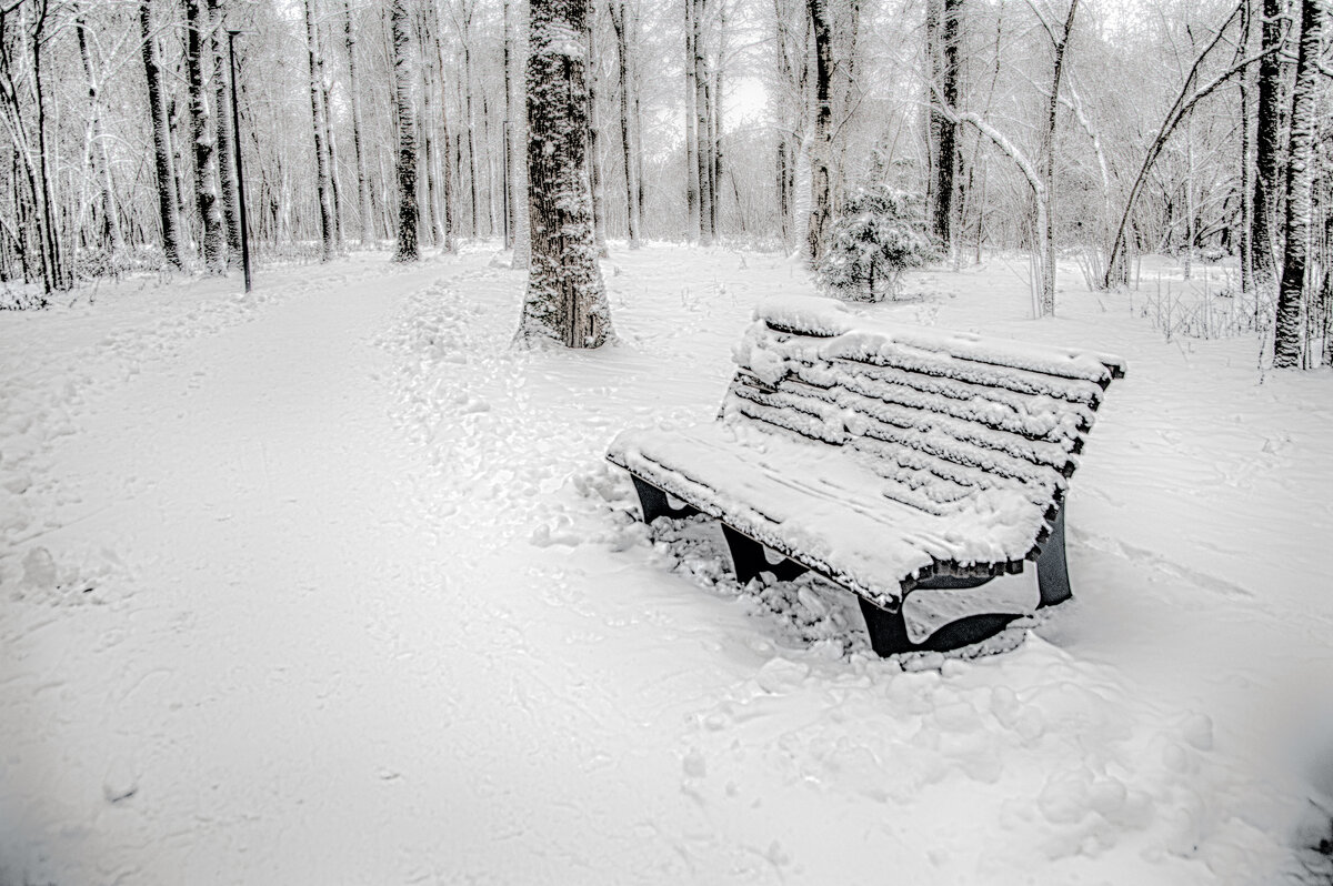 После снегопада.. - Юрий Яньков