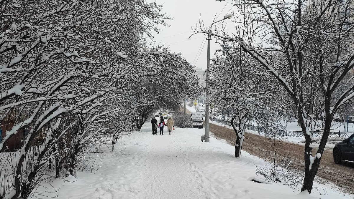 ,,, - Сергей Тимоновский