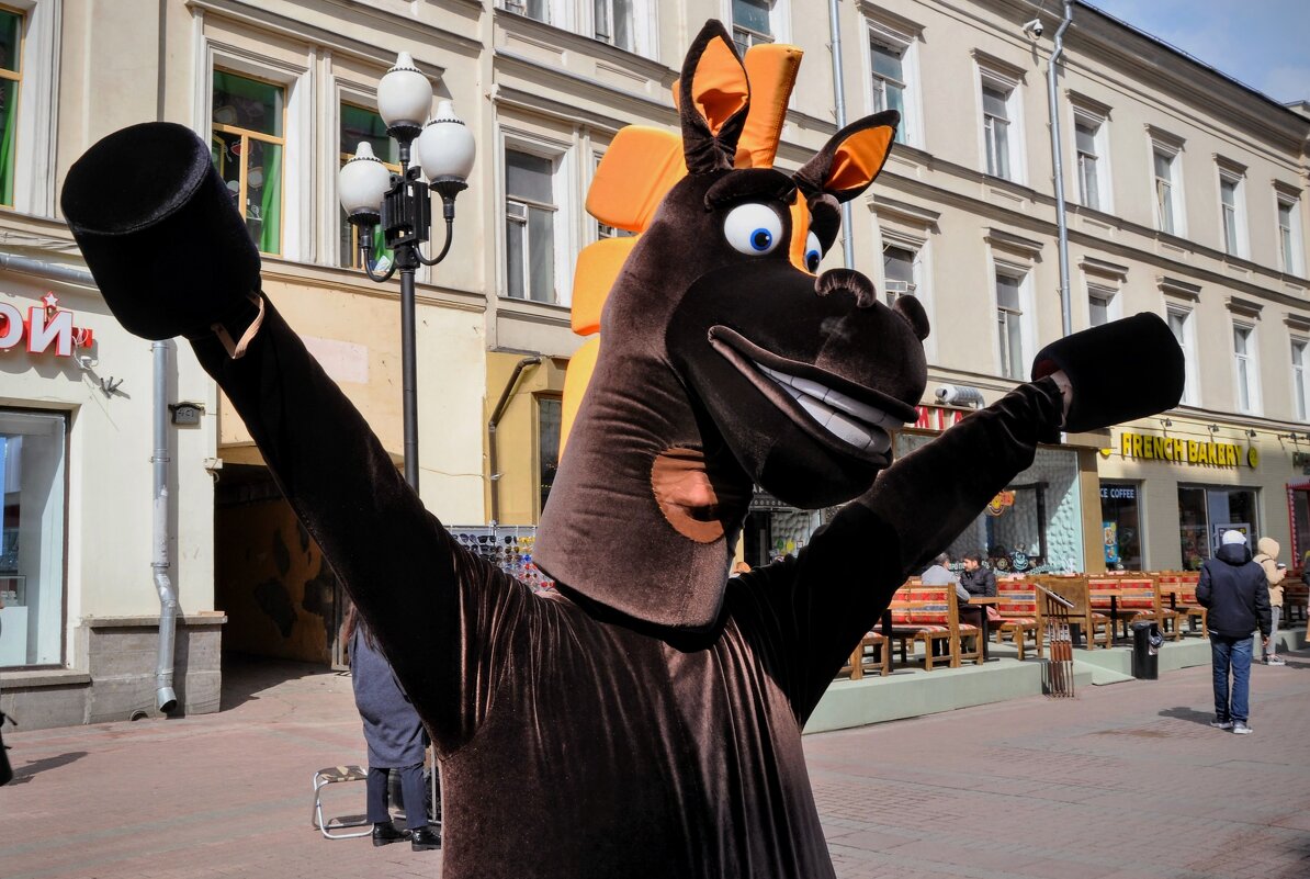 С Конским приветом , друзья ! Мы те же лошади,,,) - Анатолий Колосов