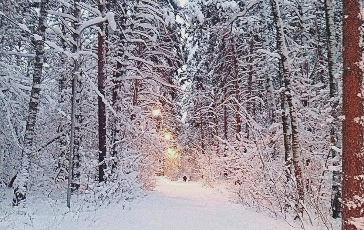 Вечерняя прогулка - Галина Нестратова