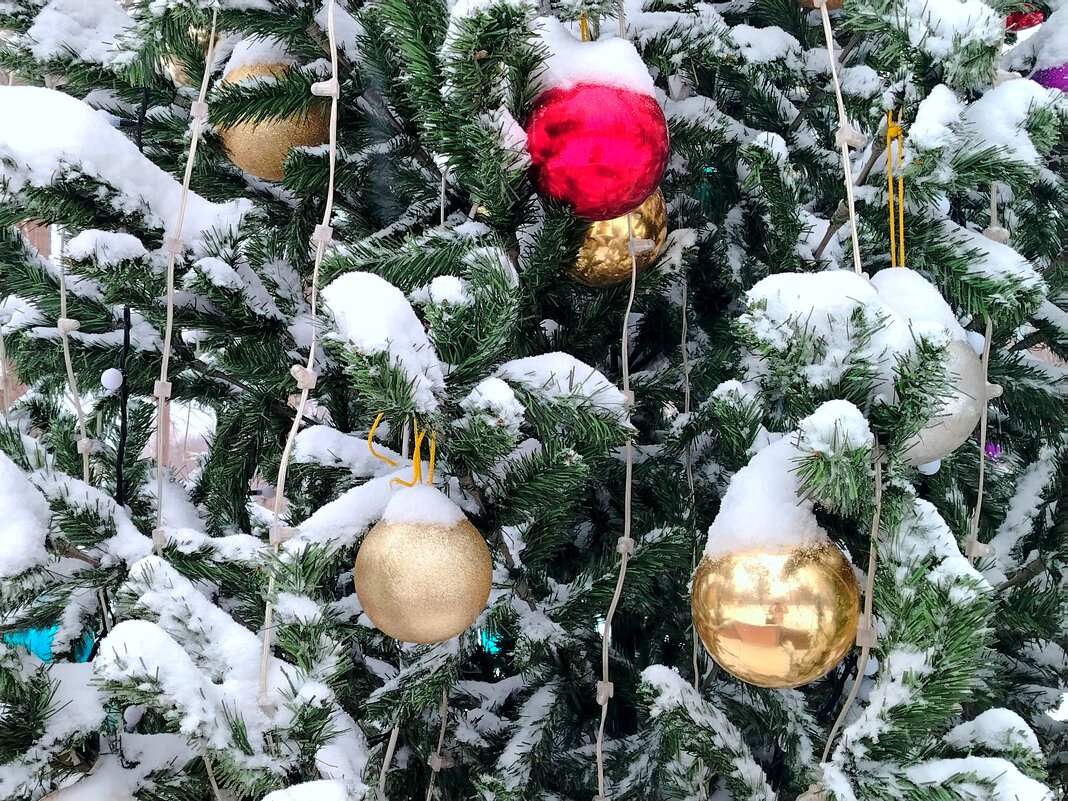 Холодно, холодно елочке зимой! - Надежда 