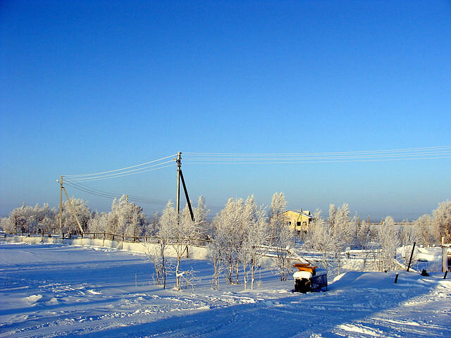 ЯМАЛ - Tata Wolf