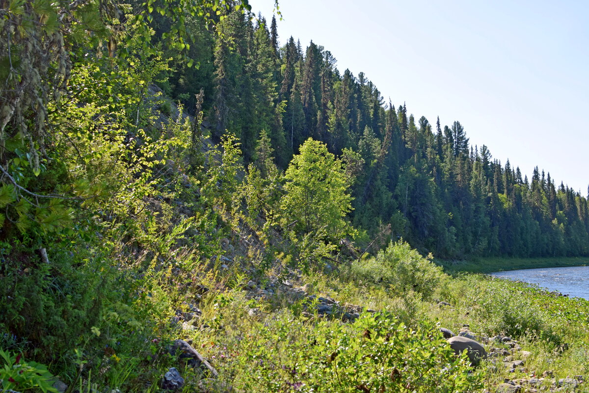 Изгибы берега. - ВикТор Быстров Изгибы берега. - ВикТор Быстров