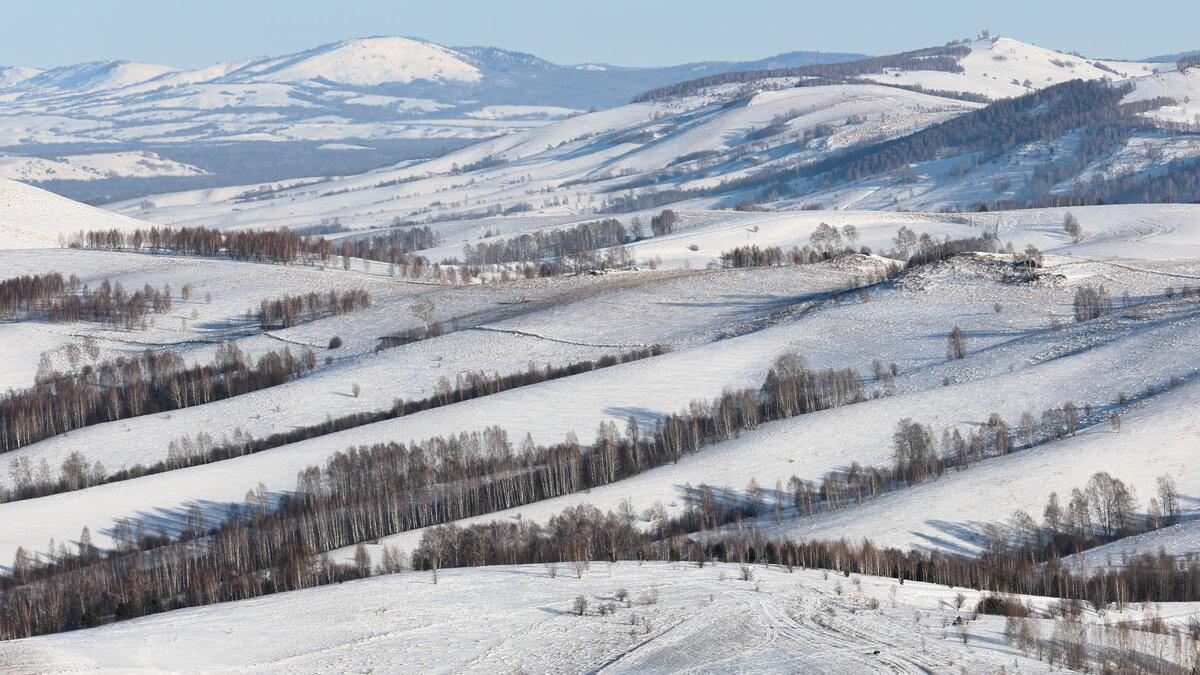 *** - владимир 