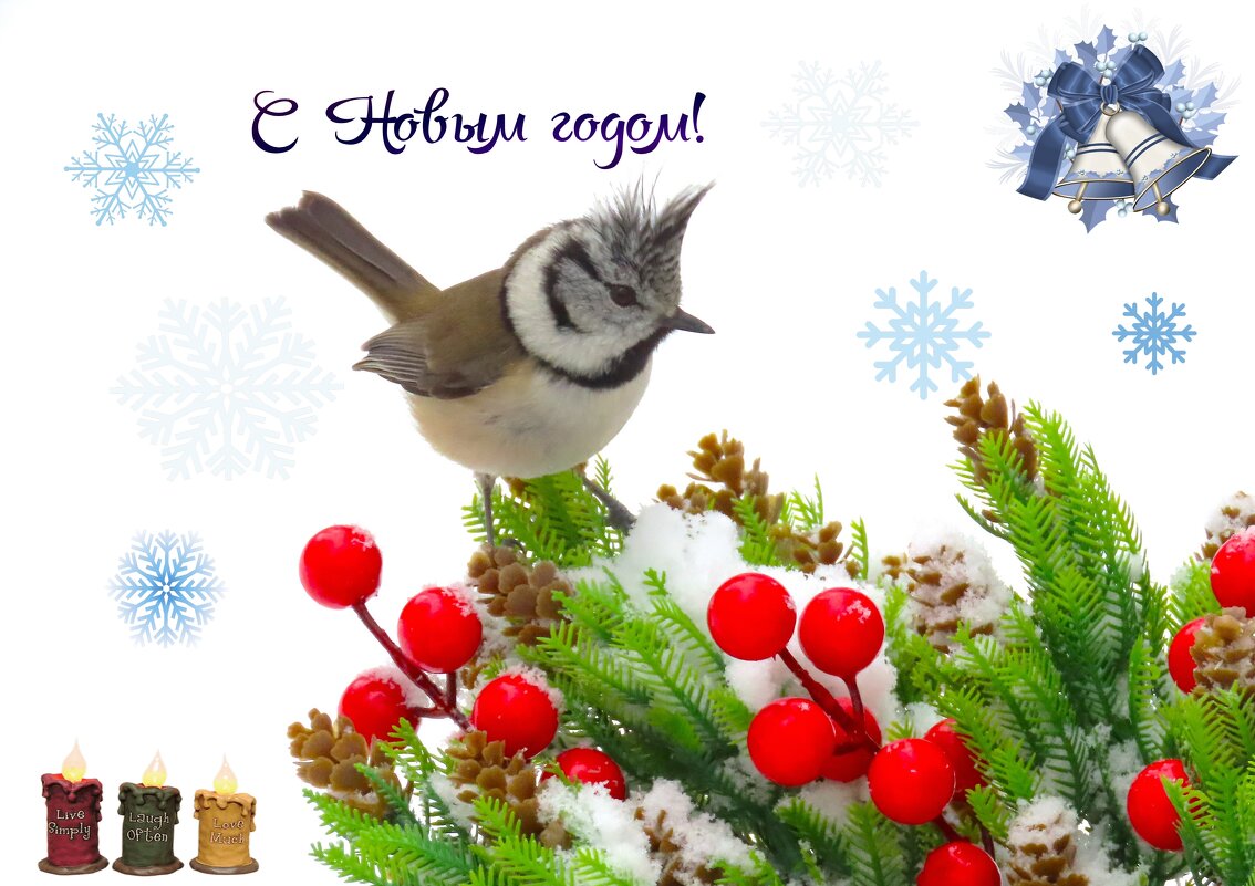 Поздравляю!!! - Ольга Митрофанова