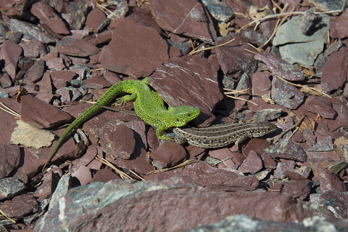 Быть вместе - Валерий Медведев