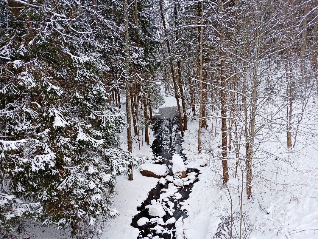 Эх, ручеёчек, ручеёк! - Лия ☼