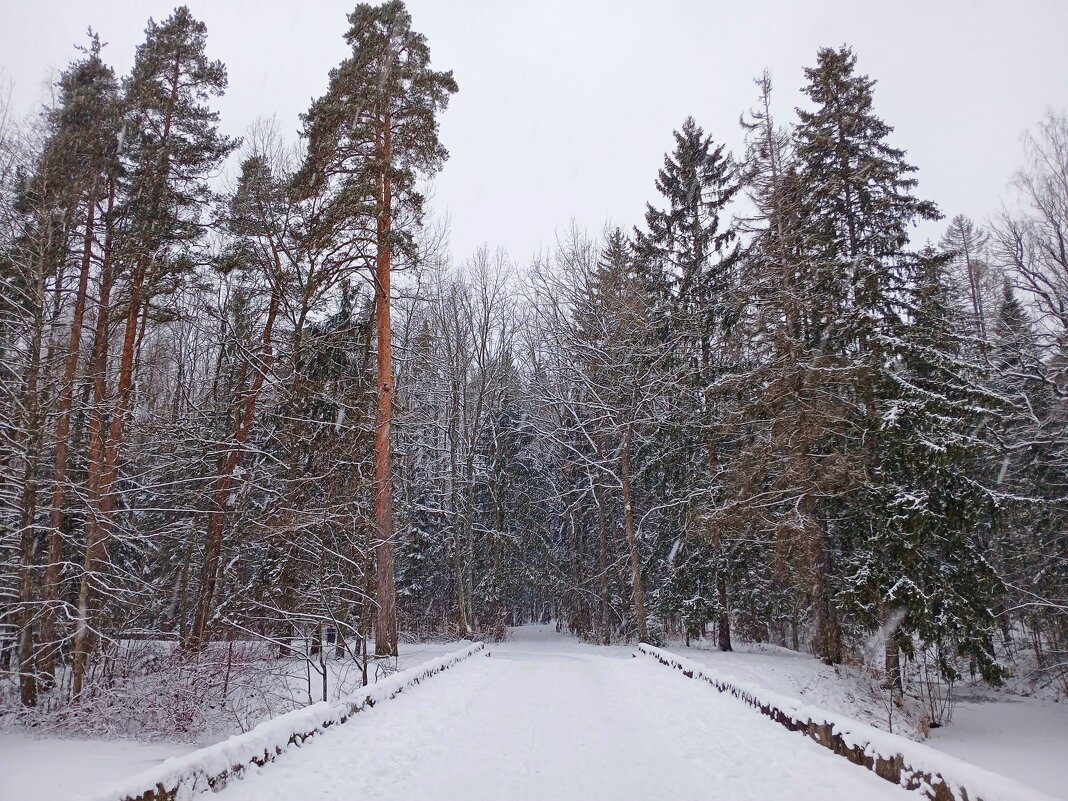 В лес! - Лия ☼