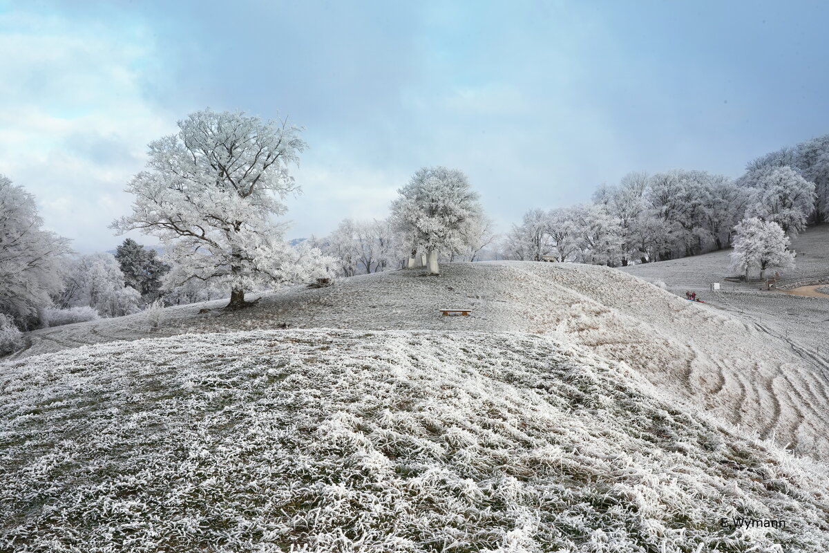 winter view - Elena Wymann winter view - Elena Wymann