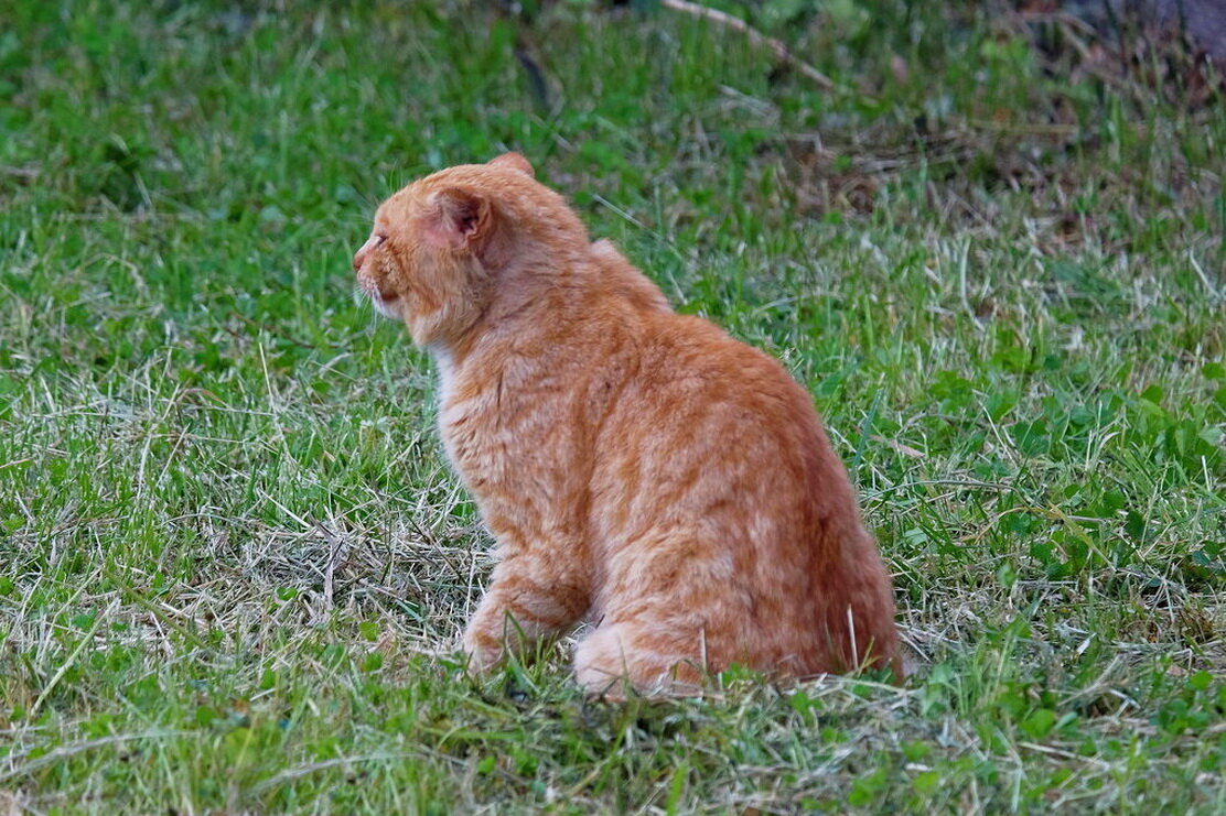 Ожидание - Валерий Судачок