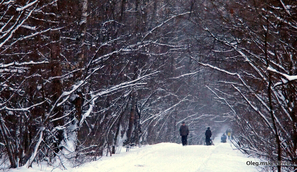 природа шепчет - Олег Лукьянов природа шепчет - Олег Лукьянов