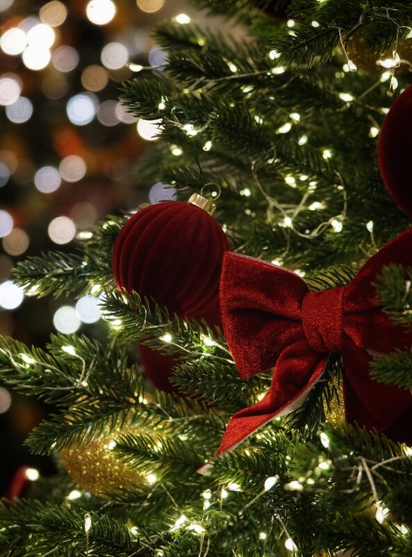 Москва - александр 