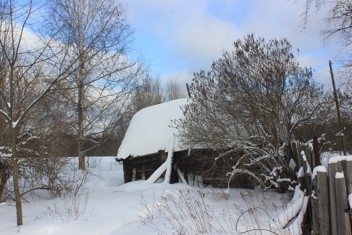 зимним днём - Сергей Кочнев