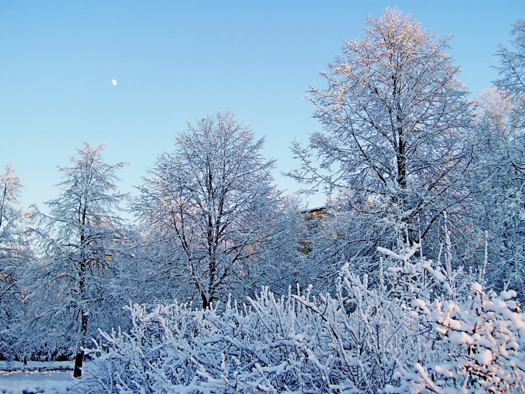 Зима! - VasiLina *