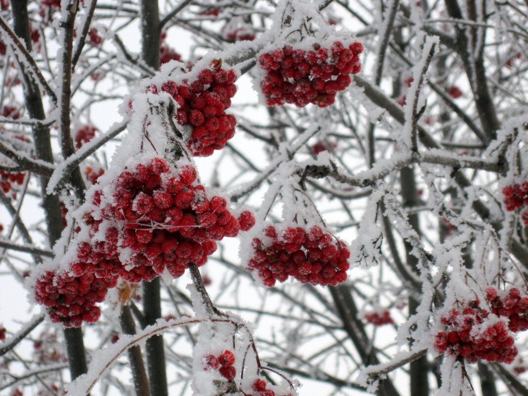 С наступающим! - ирина 