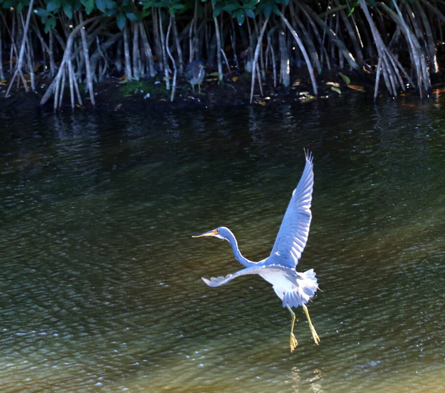 Белый танец - Yury 