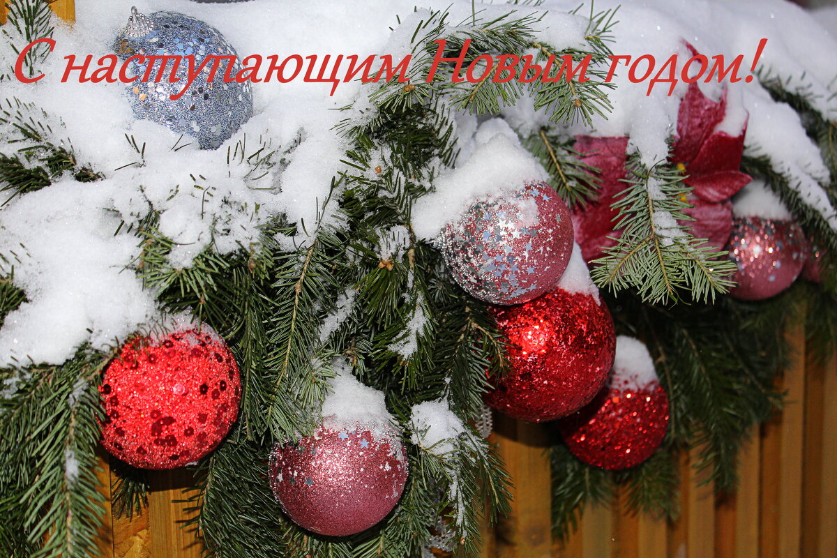 С наступающим 2026 годом! - Татьяна Лютаева