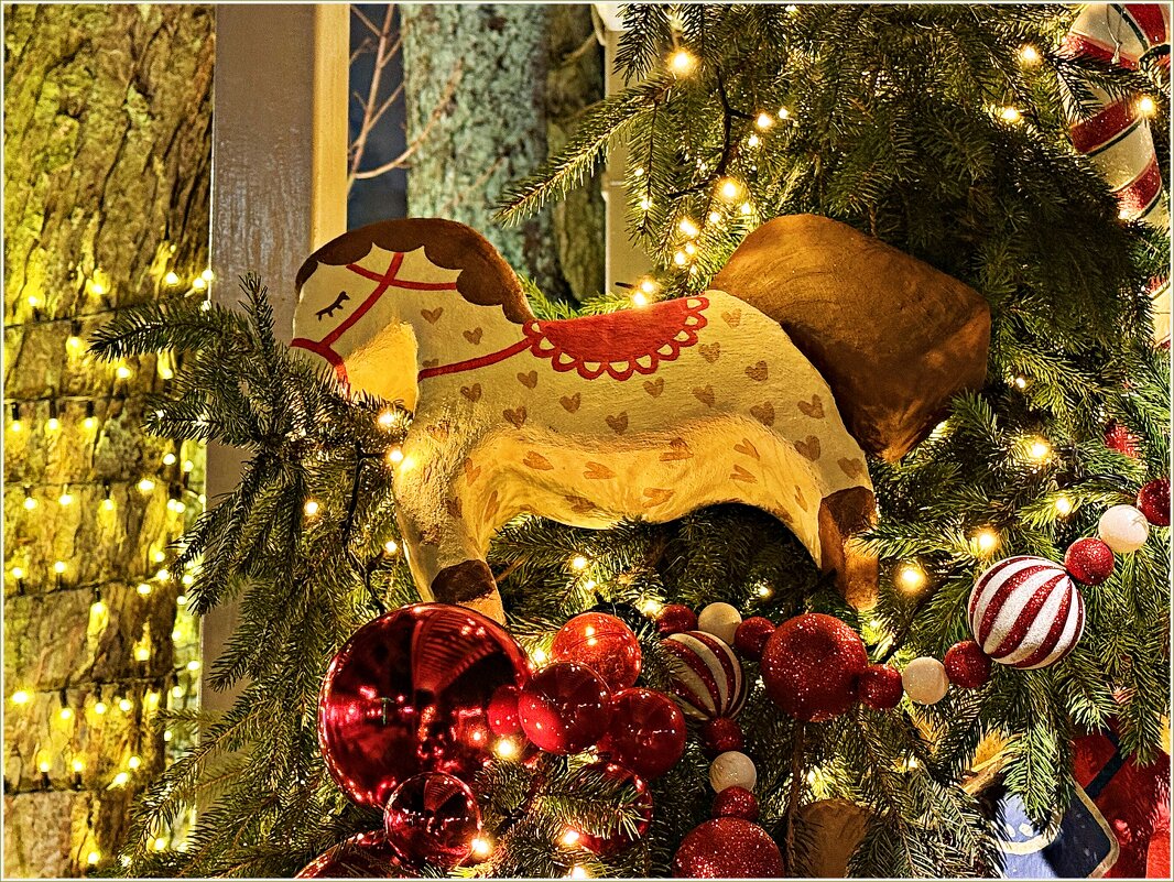 На Светлогорских улочках. - Валерия Комова