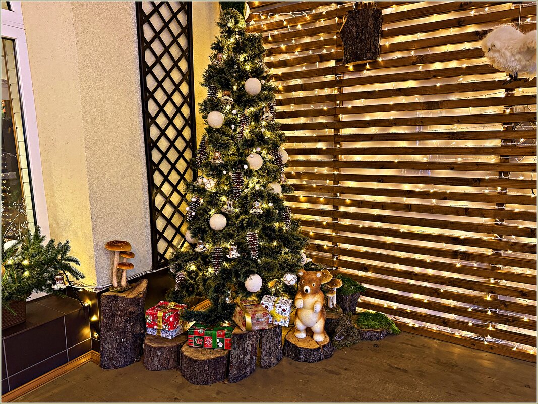 ********* - Валерия Комова