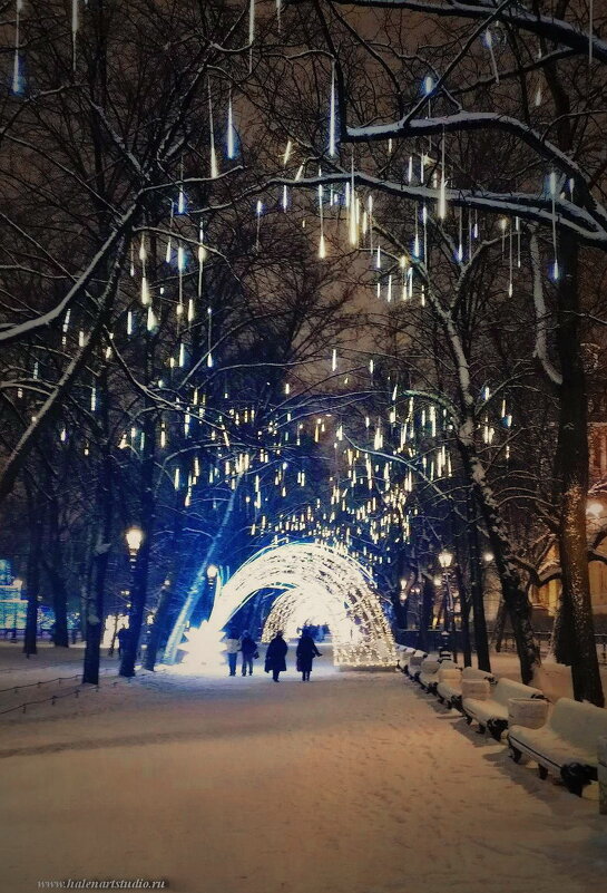 Адмиралтейский сад - Игорь Корф